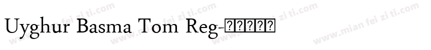 Uyghur Basma Tom Reg字体转换